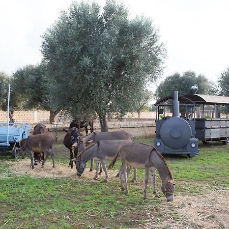 Masseria Grande Taurisano Exterior photo
